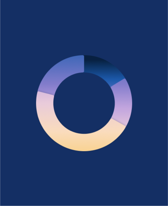 Pie chart visualization